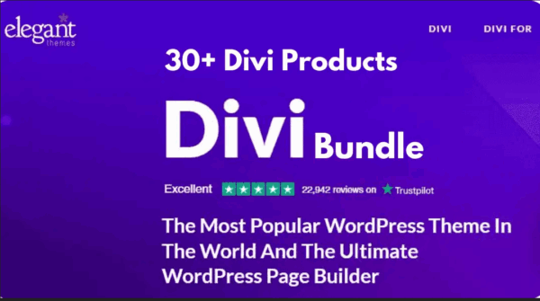 30+ Divi Bundle (Ultimate Collection)