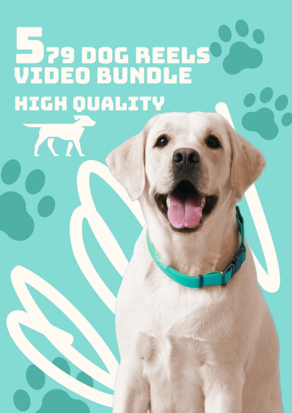579 Dog reel video bundle